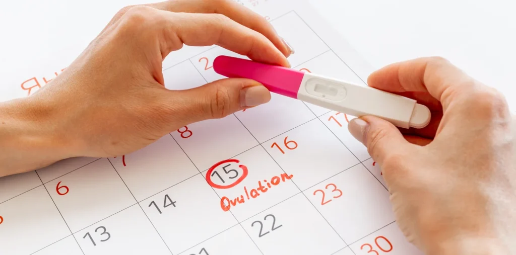 Ovulation Optimization When Are You Most Fertile