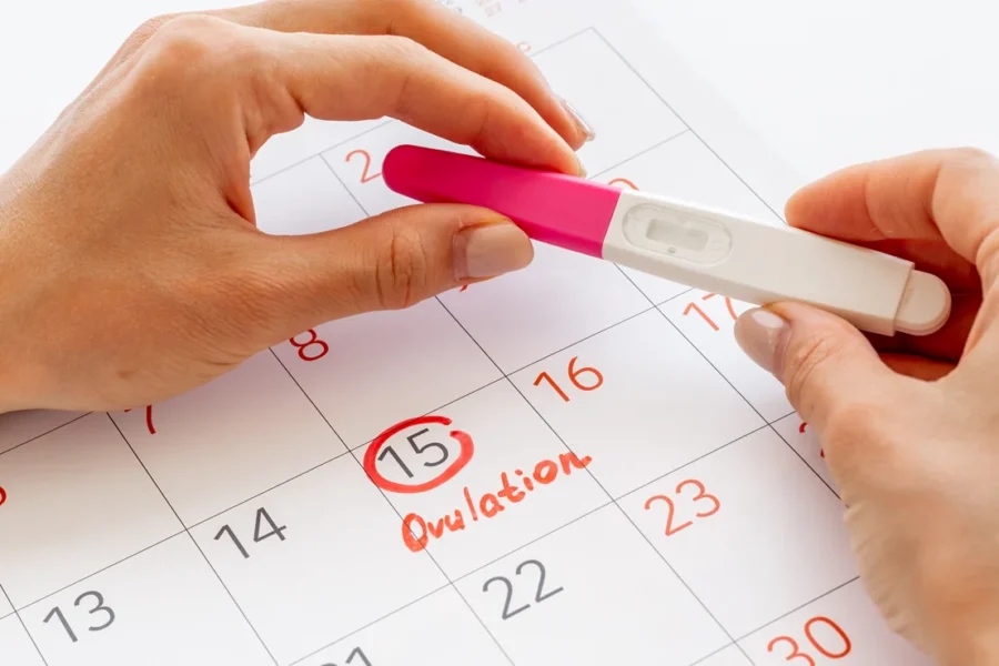 Ovulation Optimization When Are You Most Fertile