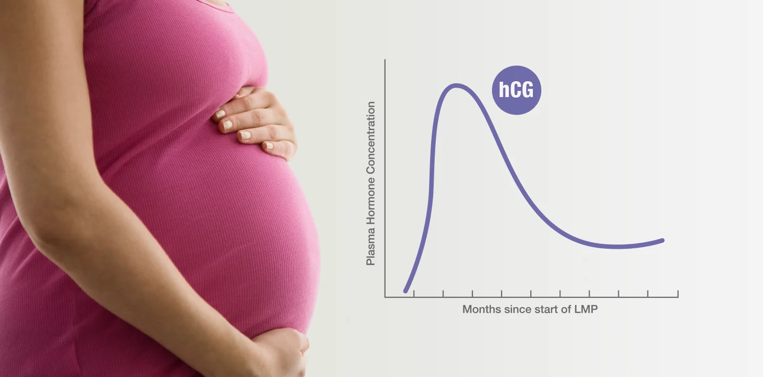 Low hCG levels in pregnancy: What does it mean?