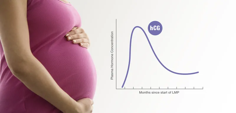 Early Pregnancy: Understanding High, Low, & Slow Rising HCG Levels