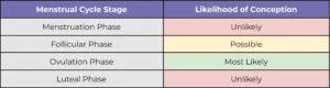 Likelihood of conception for each menstrual cycle stage chart