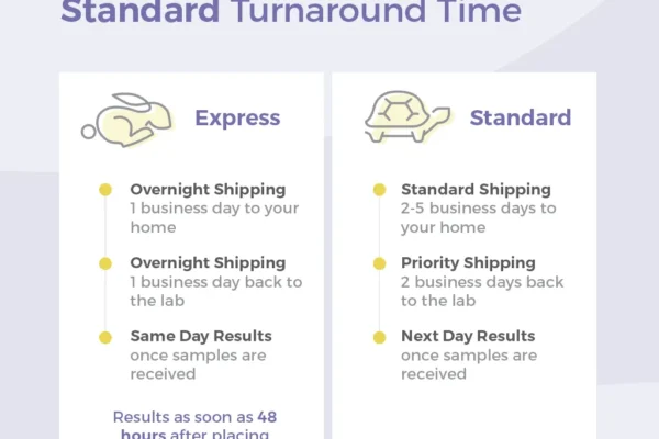 express vs standard details